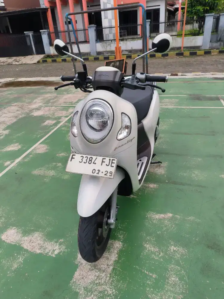 Honda Scoopy prestige 2024