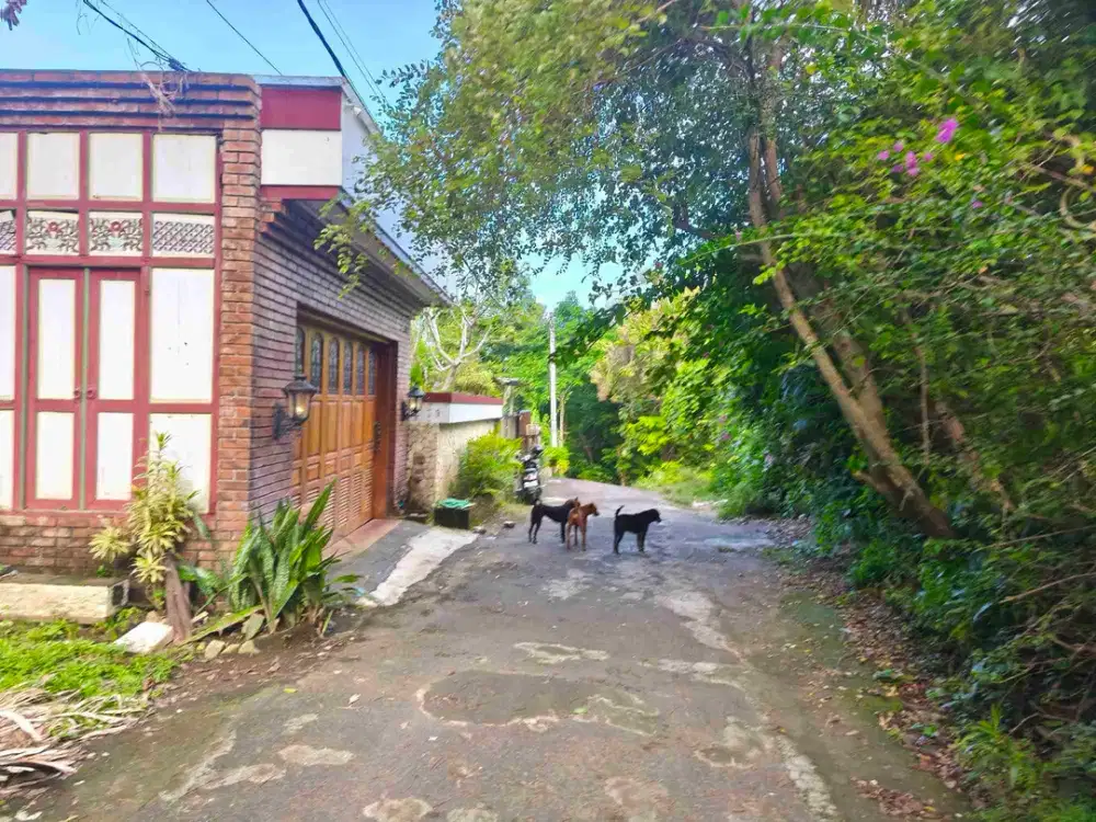 dijual tanah 5 are IDR 600 juta per are Kawasan belimbing sari pecatu Kuta Selatan Badung Bali