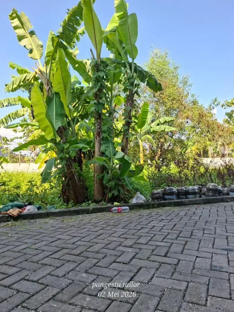 TANAH STRATEGIS BULUSAN UTARA UNDIP TEMBALANG