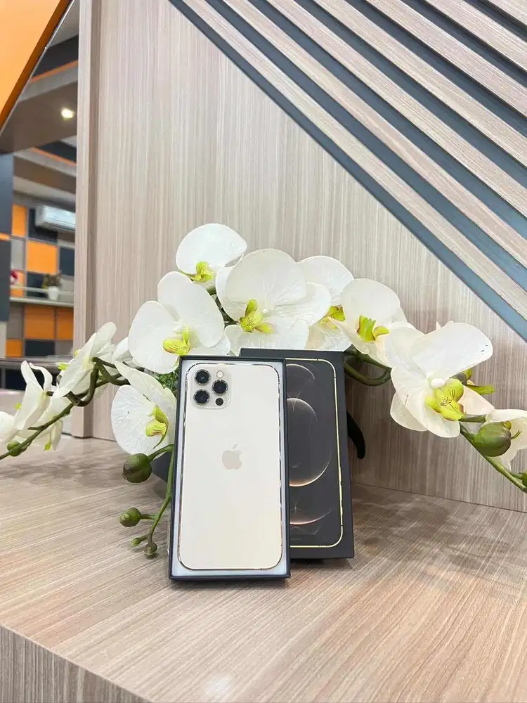 IPHONE 12 PRO 512gb