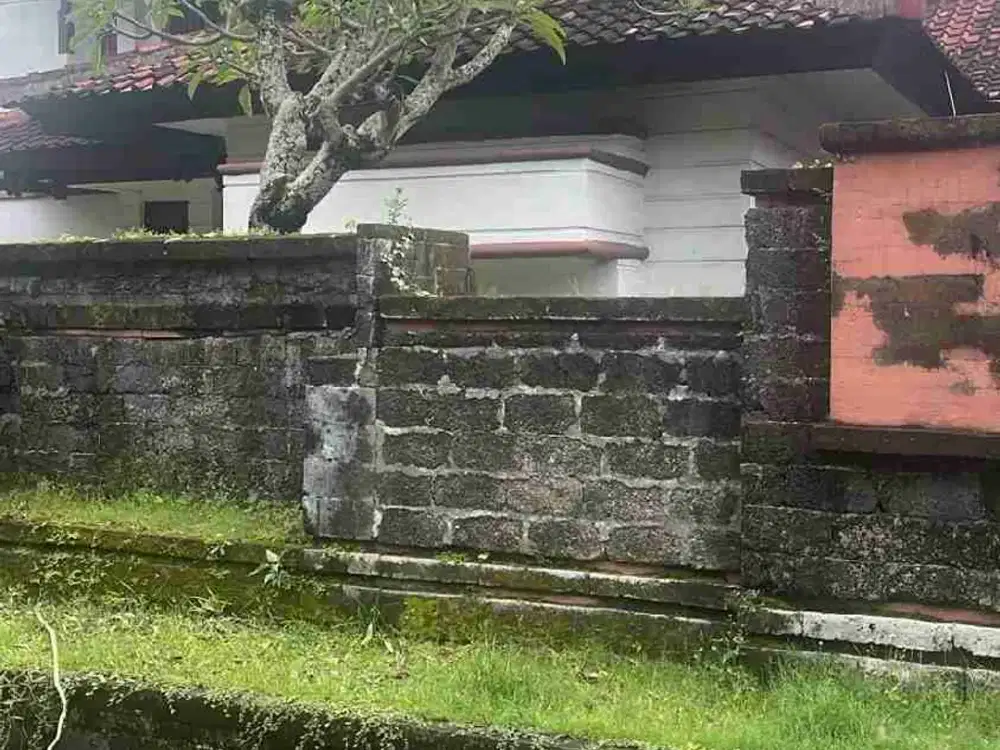 Tanah Bonus Rmh Pusat Kota Bisnis Kuliner Elit Laksamana Renon Jl7mtr