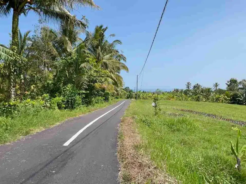 Dijual Kebun Durian Dan Manggis Los Sungai Berbatu View Jungle Tabanan Bali