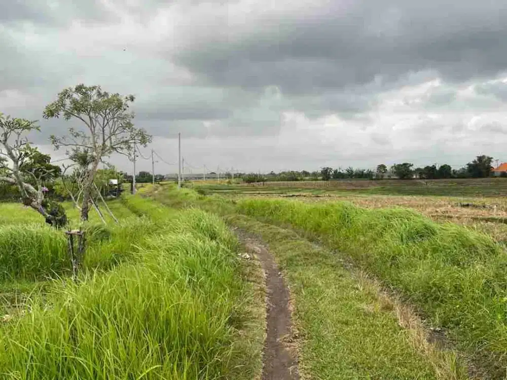 Dijual Tanah Dekat Pantai Braban Tabanan Bali Kawasan Villa