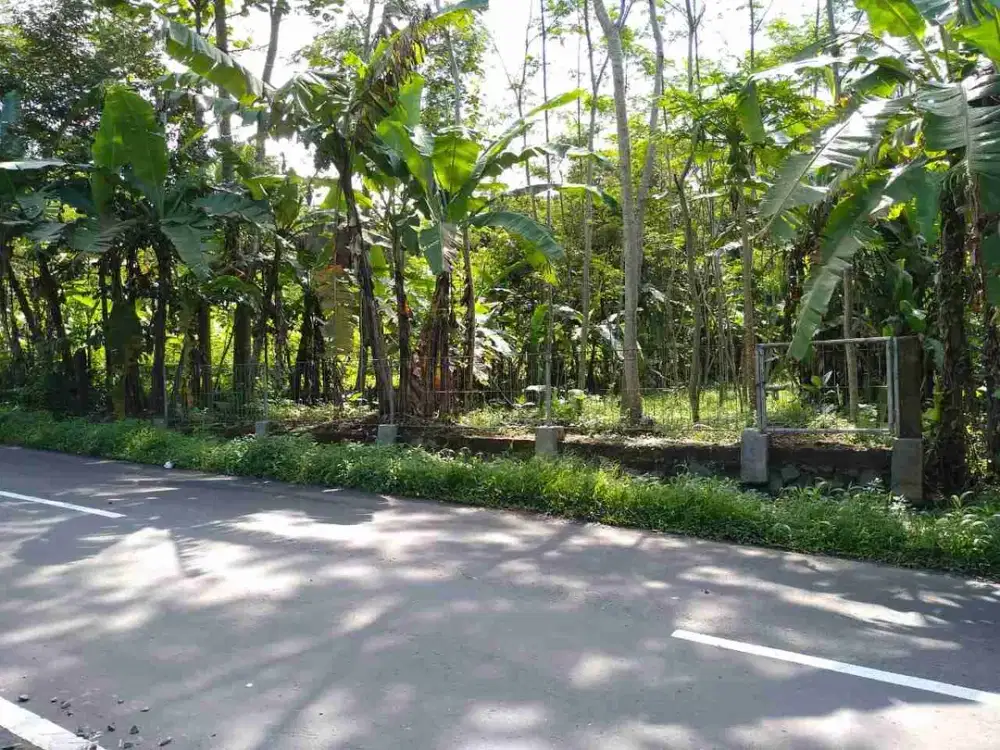 Tanah kosong jln raya Baturaden Barat dekat Al Irsyad Boarding School Baturaden Purwokerto