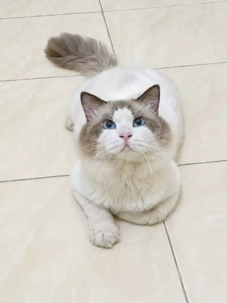 Antar jemput kerja