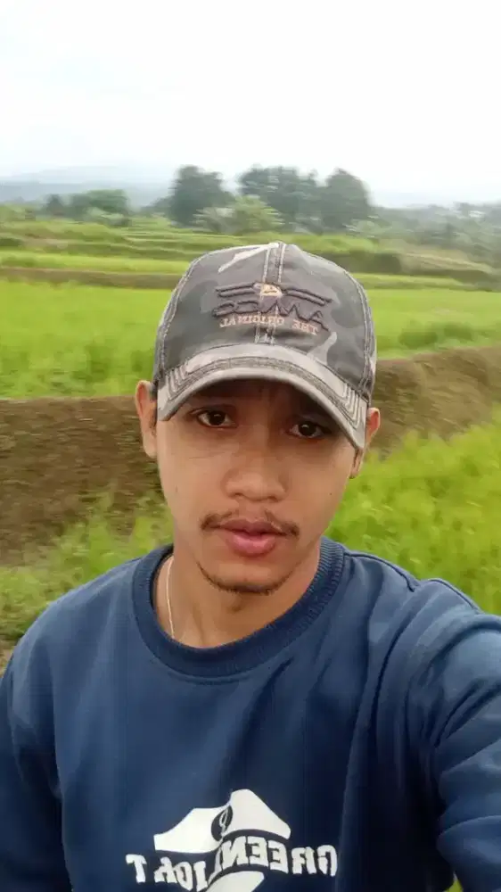 sedang cari kerjaan