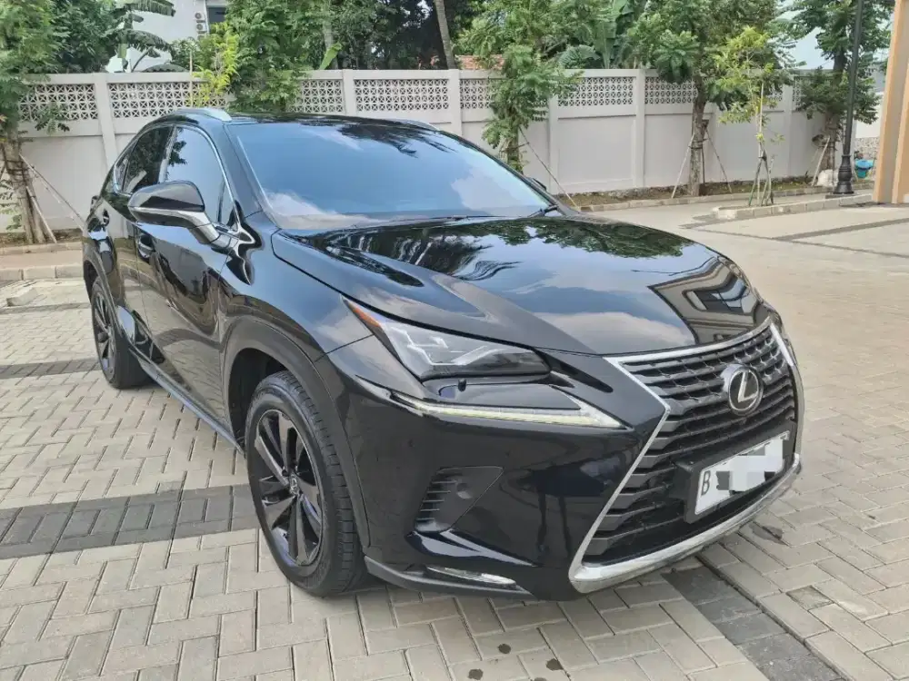 Lexus NX300 Luxury 2019 - Super Condition