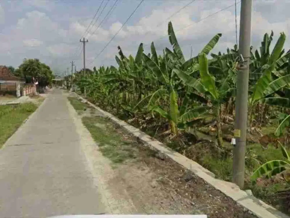 Lahan Tanah untuk perumahan atau gudang sudah kering