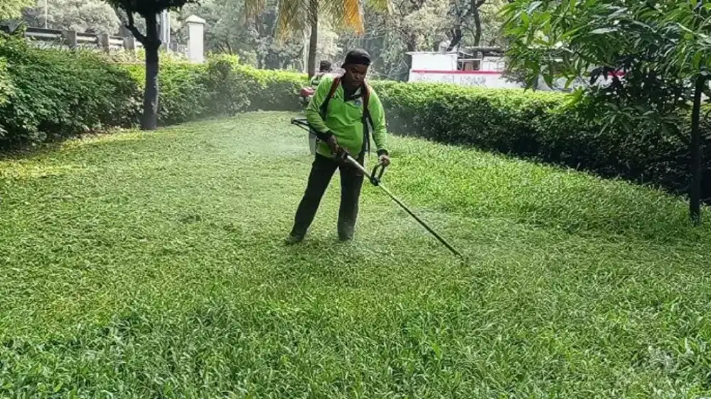 Jasa Potong Rumput dan Perawatan Taman