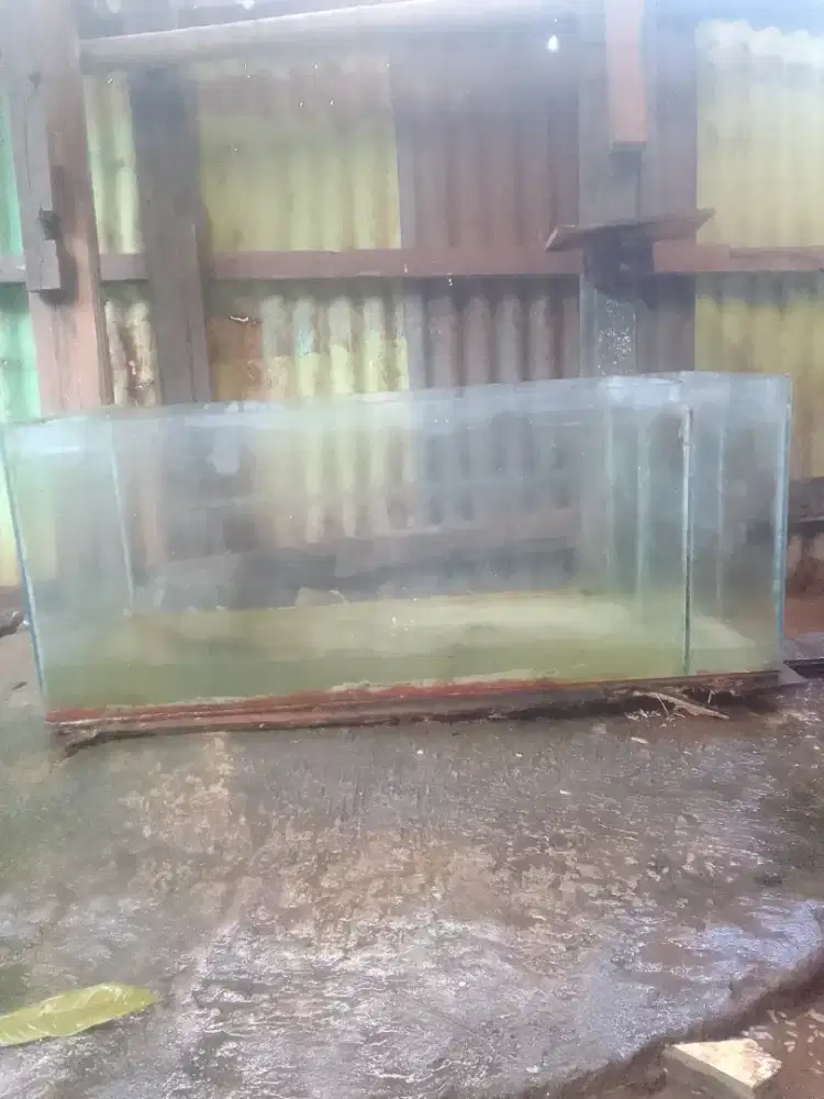 Aquarium second