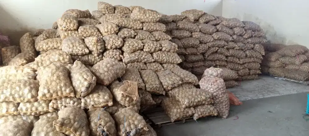 KENTANG dan BAWANG Putih