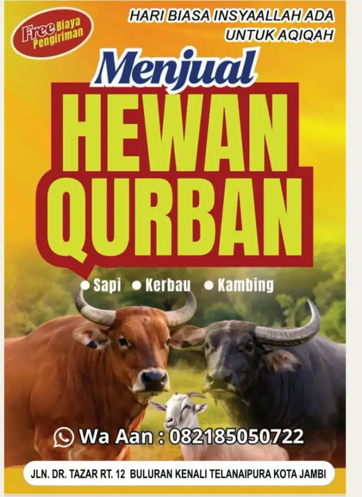 Jual hewan qurban dan aqiqah