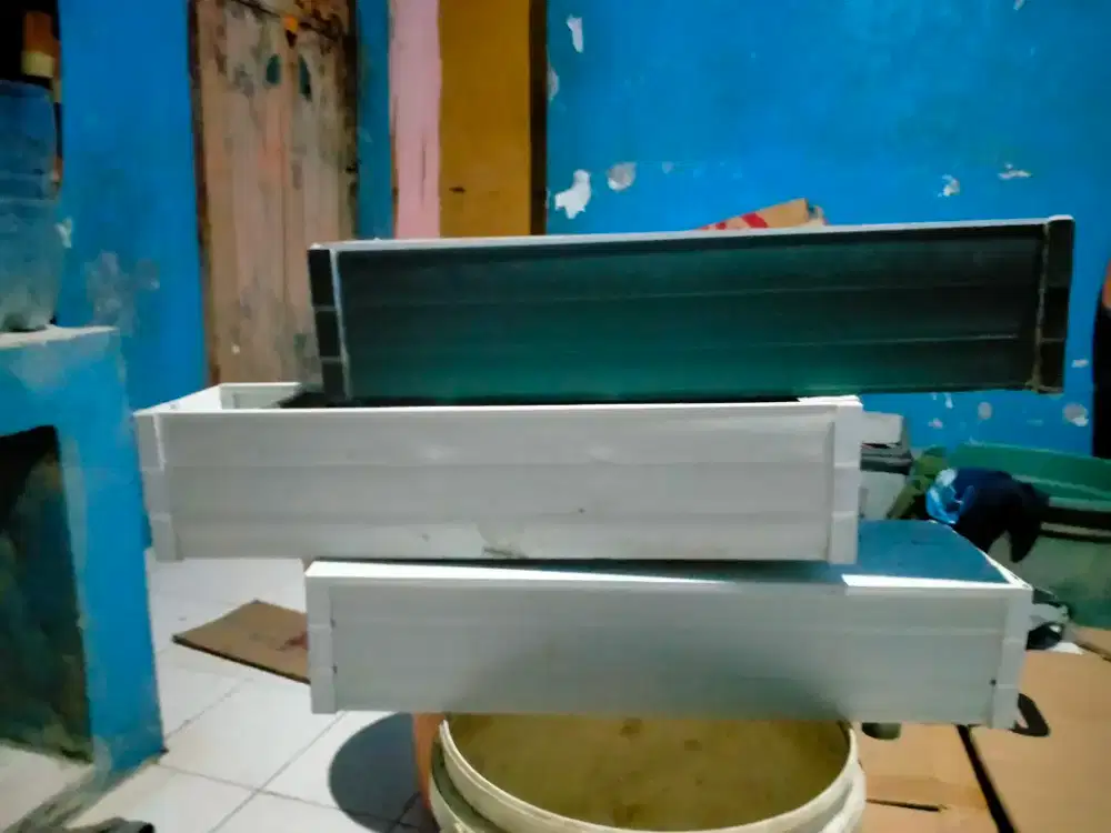 talang aquarium