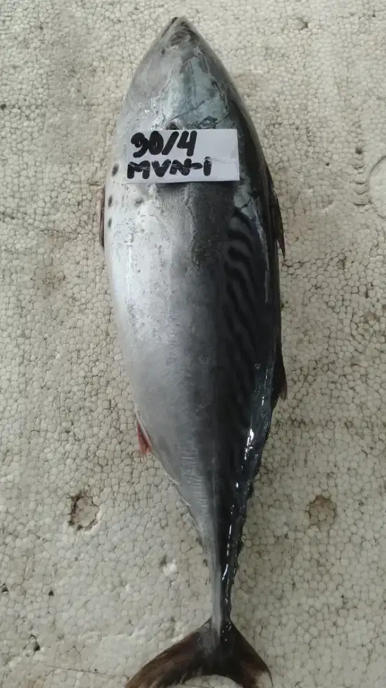 Lowongan pekerjaan