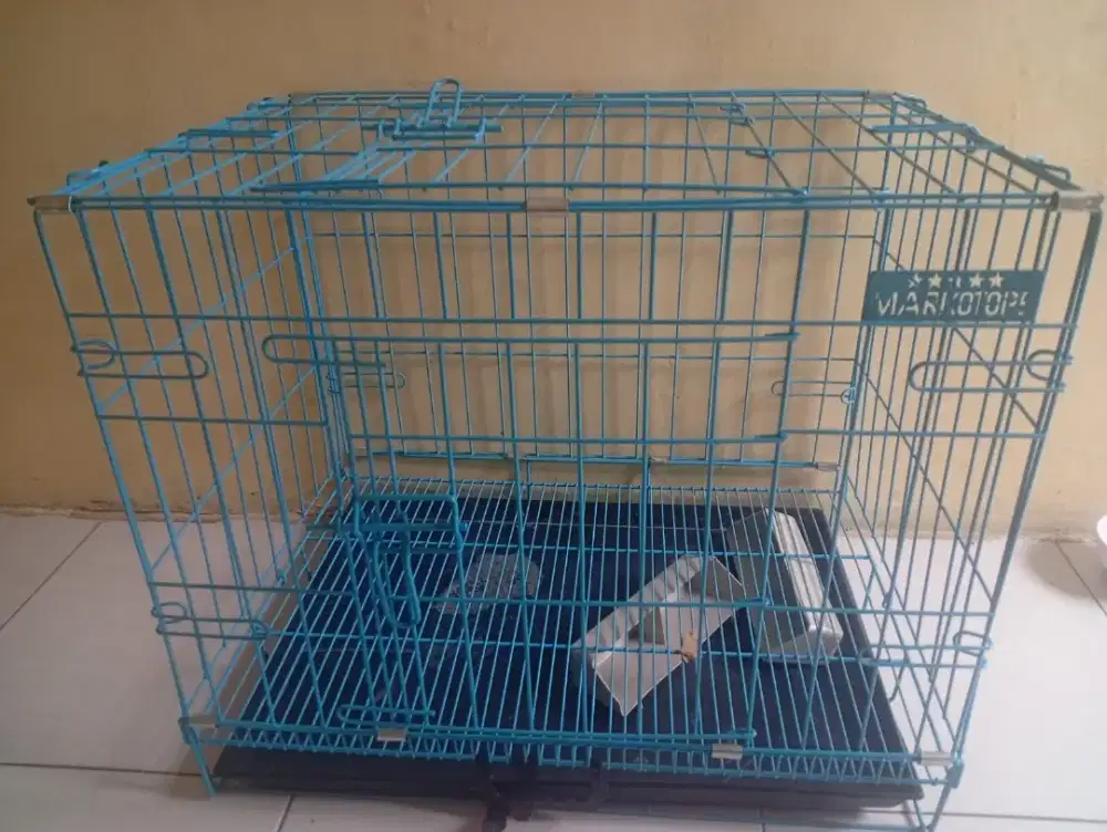 Kandang kucing second