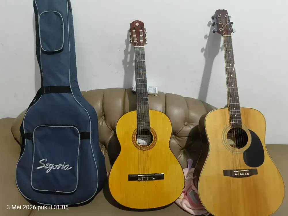 Gitar akustik elektrik segovia