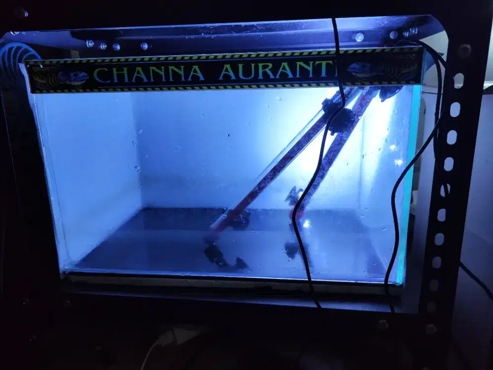Aquarium 40x25x25 + lampu kandila eco day night 3 mode 30cm