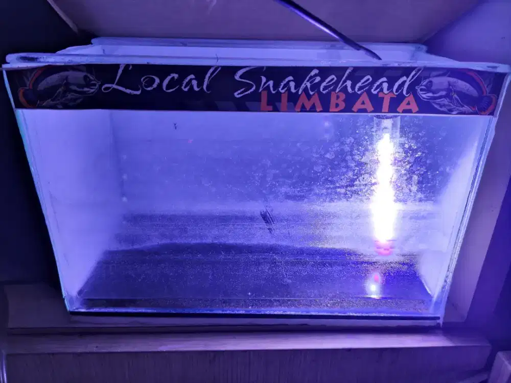 Aquarium 30x15x20 + lampu kandila eco day night 3 mode 30cm