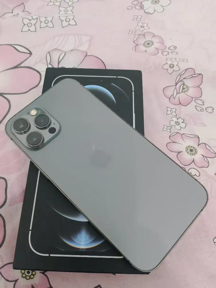 iPhone 12 Promax 256 GB inter