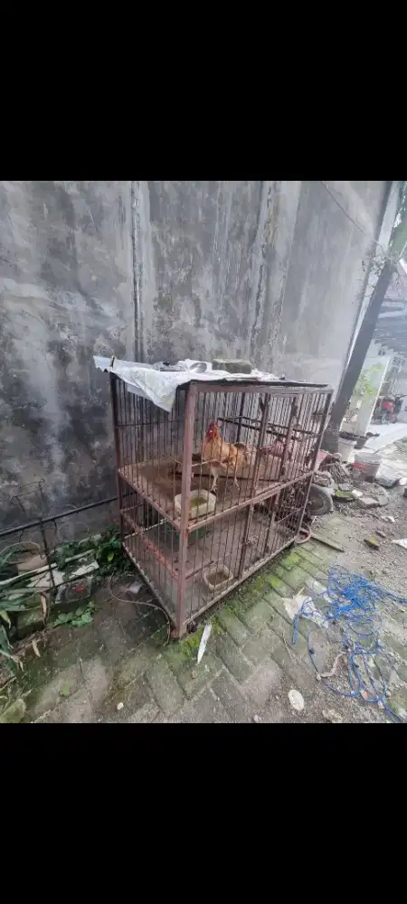 Kandang hewan 2 tingkat