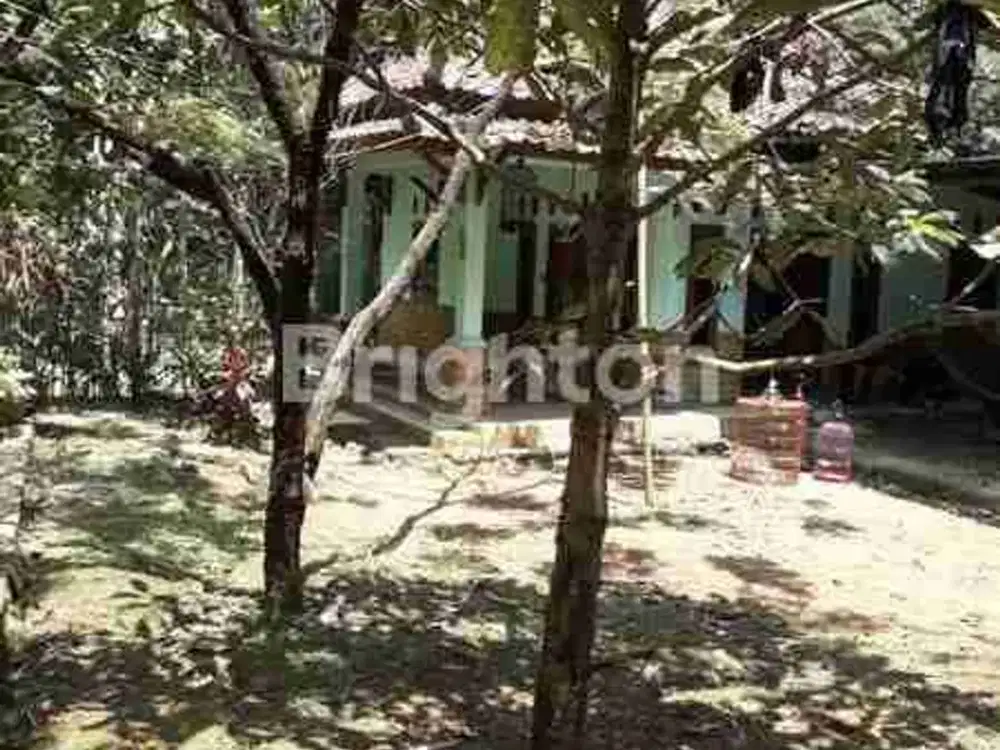 Rumah Vila di Jalan gunung jati Cipicung Kabupaten Bogor Jawa Barat