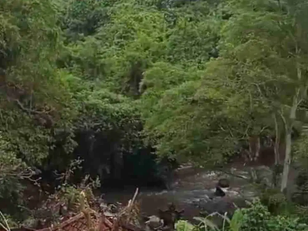 Tanah View Sungai dan Jungle di Lodtunduh Ubud Bali