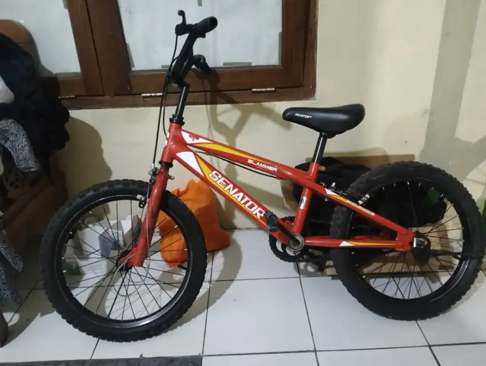 Sepeda anak senator