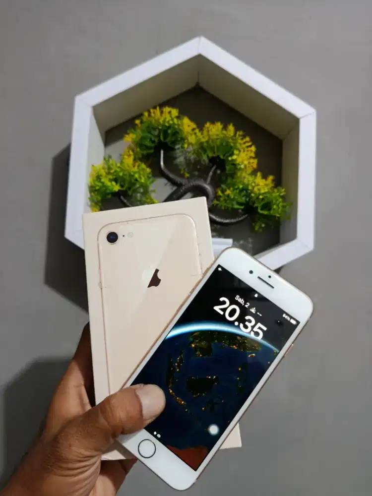 Iphone 8 256GB ex inter Mulusssssssss