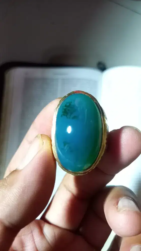 Bacan doko coklat merah jumbo HQ