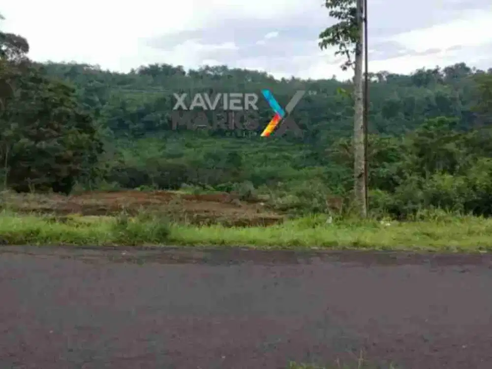 DIJUAL MURAH TANAH DI JEDONG, WAGIR, MALANG