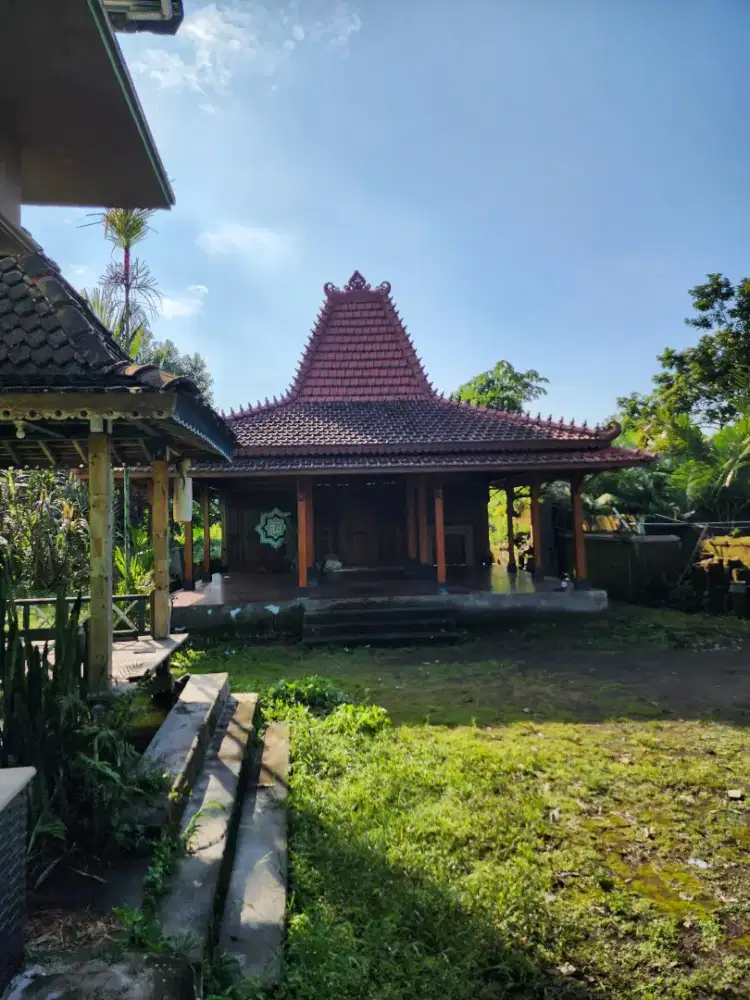 Lahan sangat strategis di sewakan