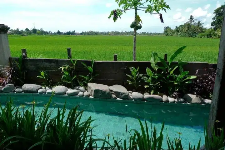 VILLA ULIN di tepi Sawah