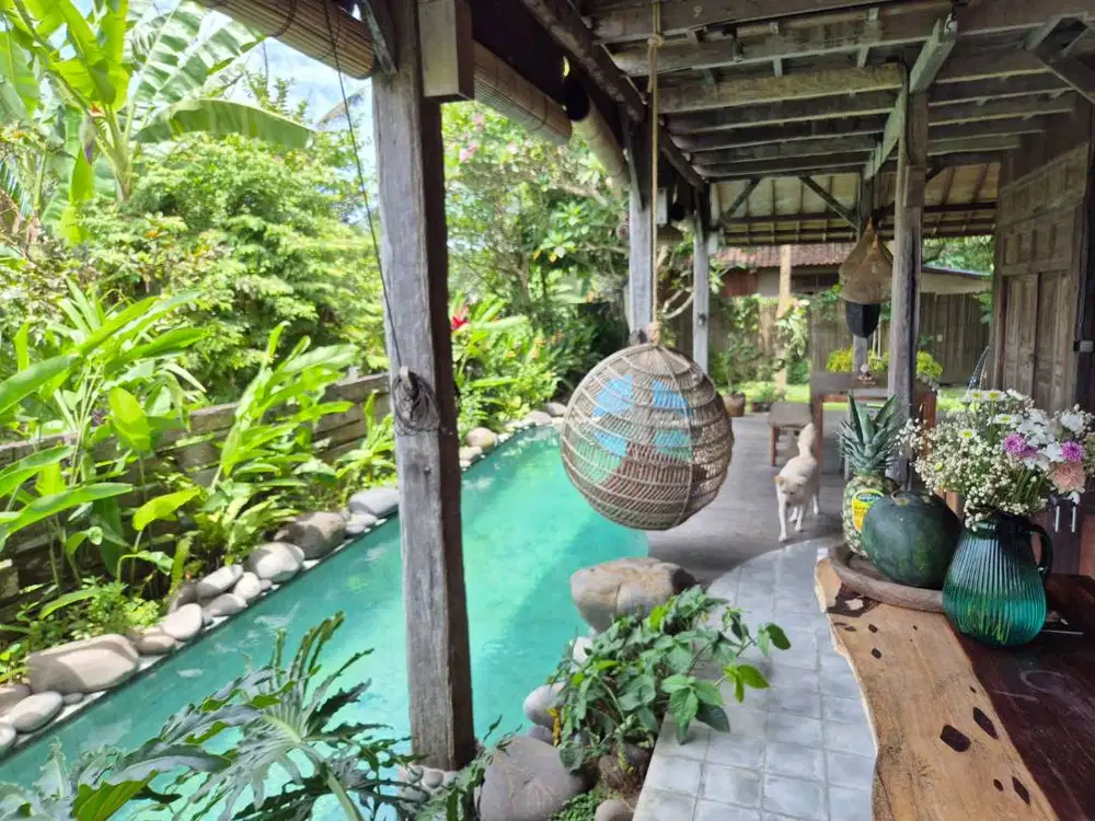 VILLA ULIN di tepi Sawah