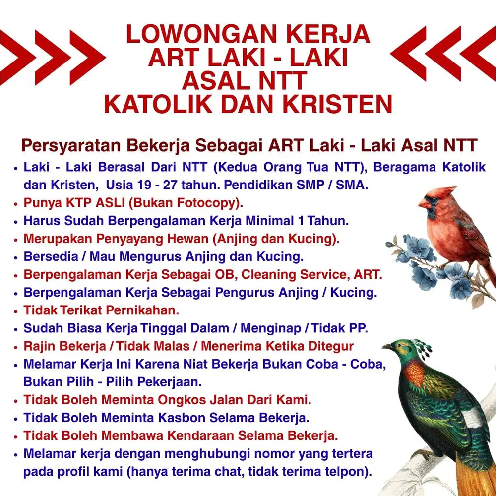 KENNEL BOY / ART LAKI - LAKI ASAL NTT BERAGAMA KATOLIK / KRISTEN