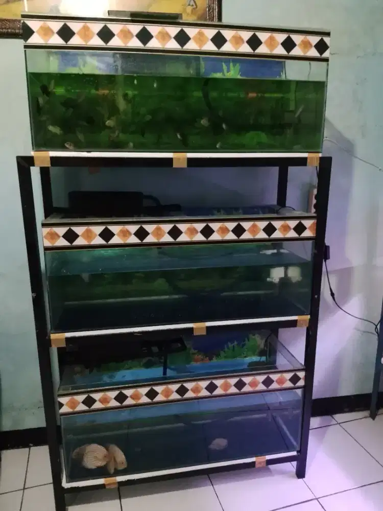 Akuarium 3pcs dan rak 3susun