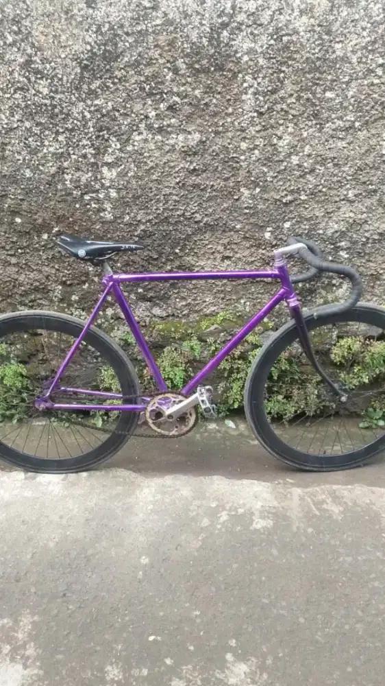 Sepeda fixie torpedo