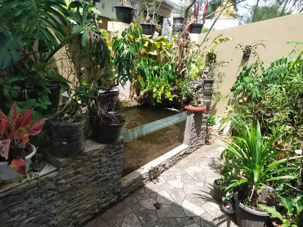 DIJUAL RUMAH STRATEGIS REMBANG KOTA