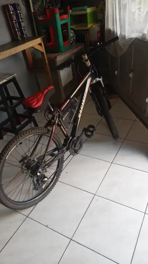 Sepeda dan samsak