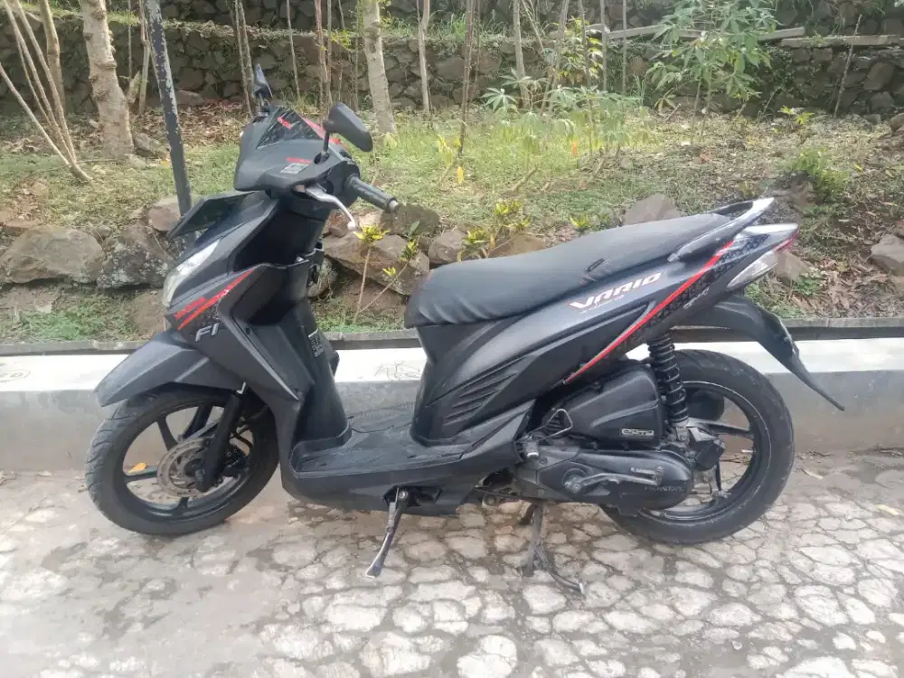 Vario Agnes 110 2016 iss starter halus.