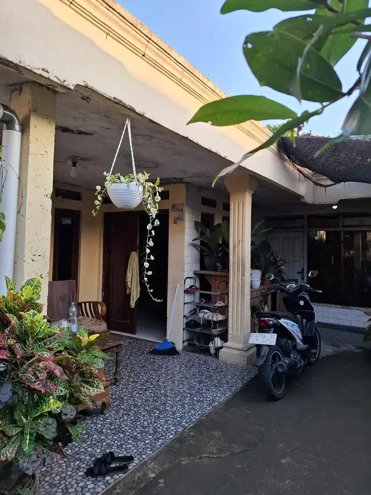 Jual Rumah harus laku