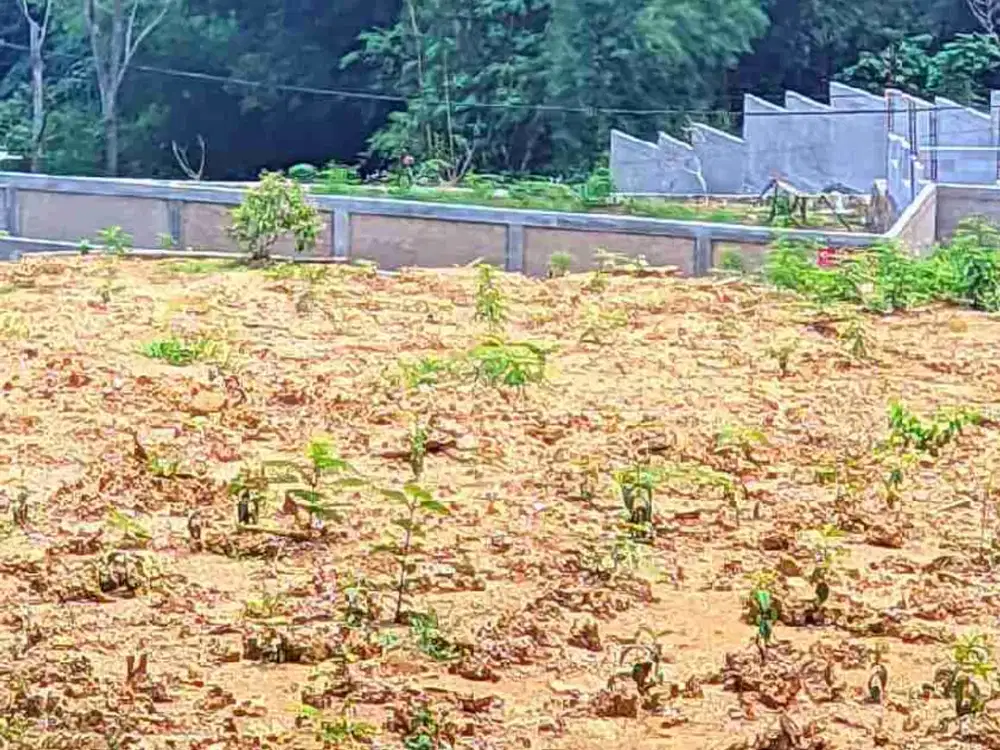 lahan tanah kosong di gunung geulis bogor