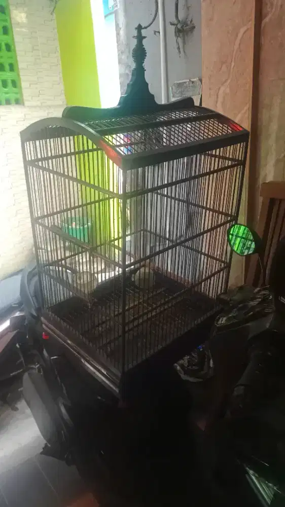 Dijual kandang burung