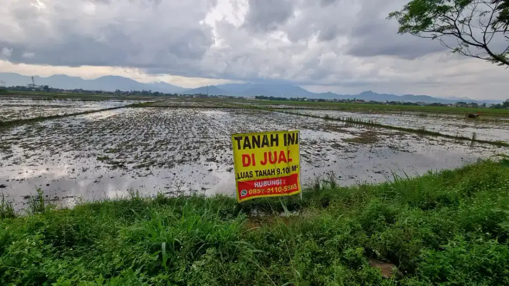 Di Jual Tanah Luas 9100m² 6300m² Citarik Sapan