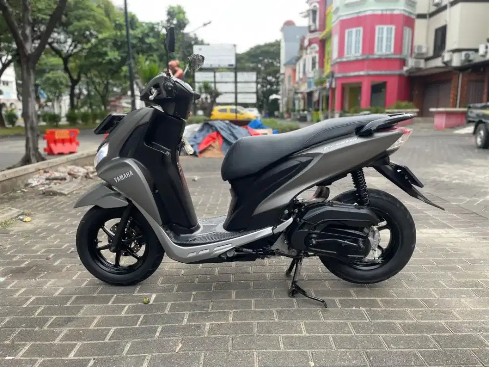 Freego 2020 Pajak Panjang