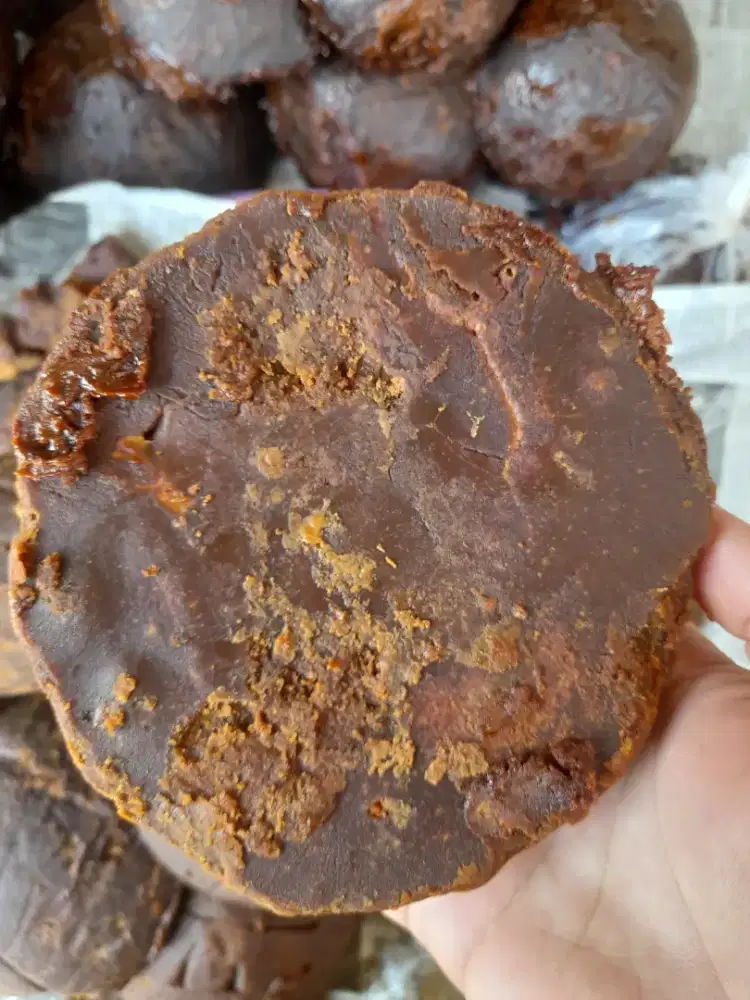 Gula Aren Curup kualitas super