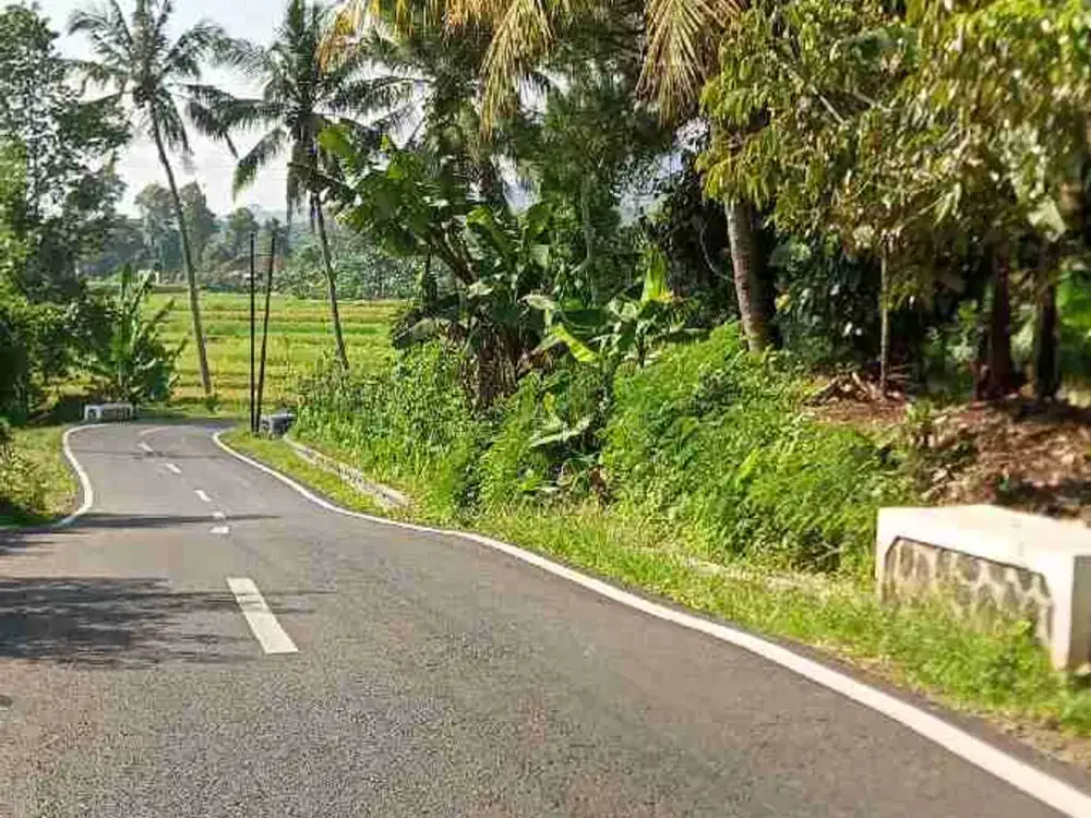 tanah darat