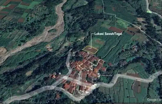 Dijual cepat lahan sawah di Cinangka Bogor