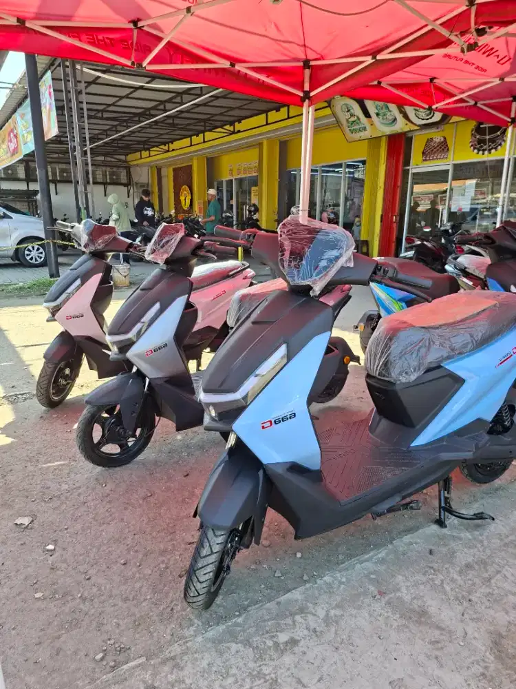 SEPEDA LISTRIK D66B
