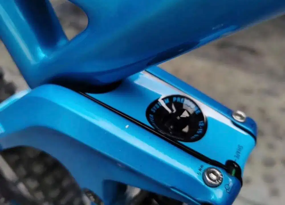 Sepeda downhill MTB Canyon Strive Carbon