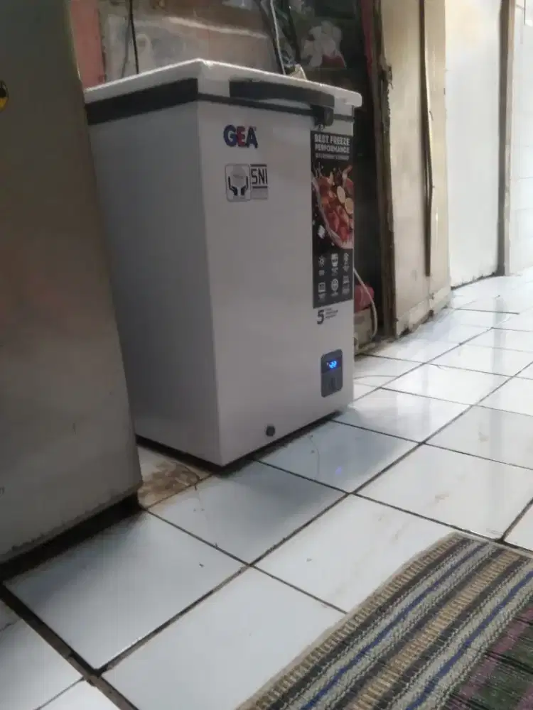 Frezer Box 100L